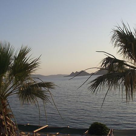 Ado Beach Hotel 图尔古特雷斯 外观 照片